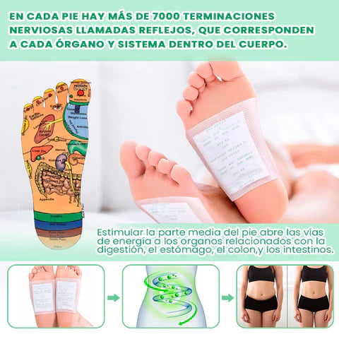 🔥 Parches Kinokis desintoxicantes 100x1